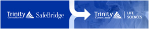 SafeBridge Consultants, Inc.